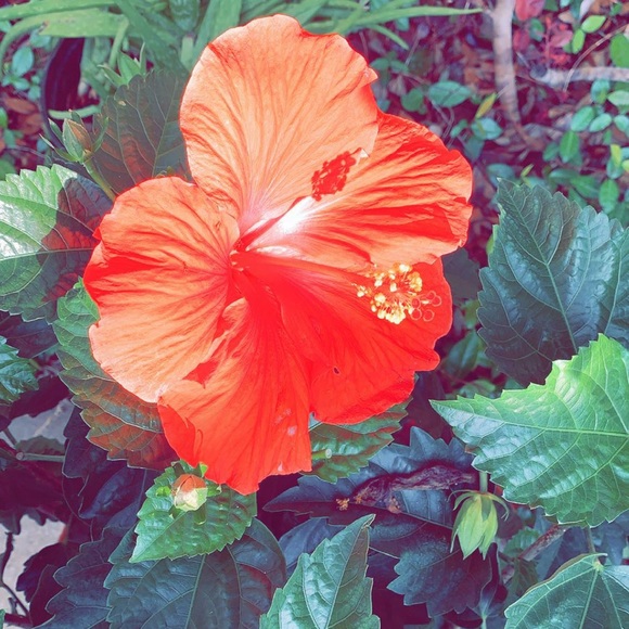 A bit about me… - Picture 3 of 8